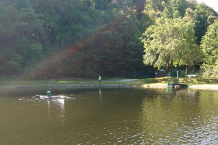 平谷湖フィッシングスポットでサクラマスを狙う